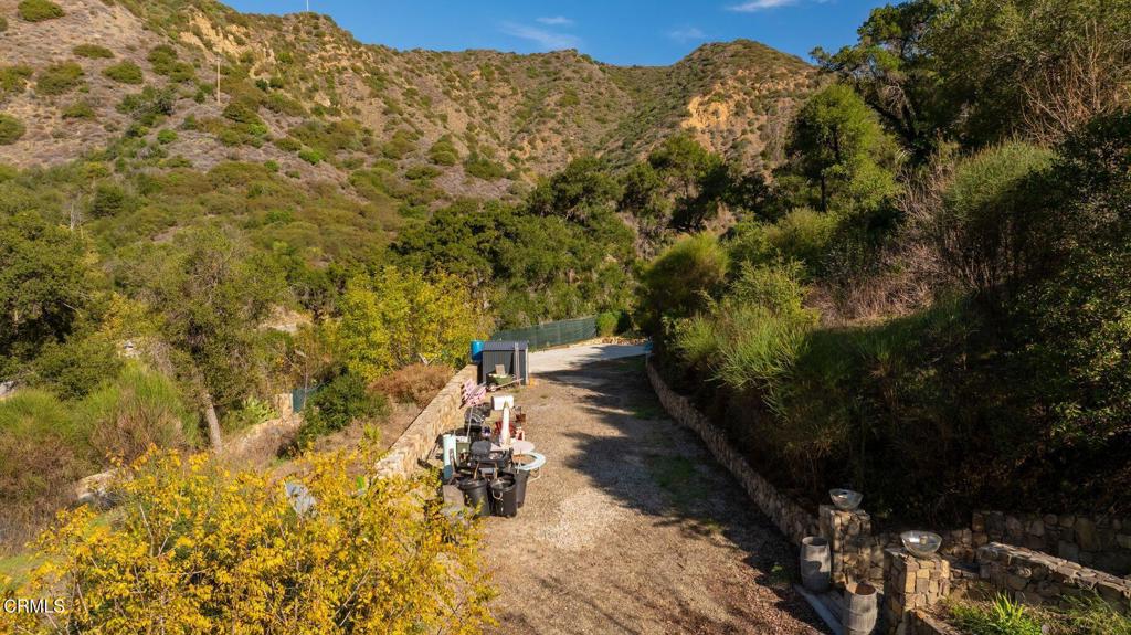 MLS #V1-33473 image #12