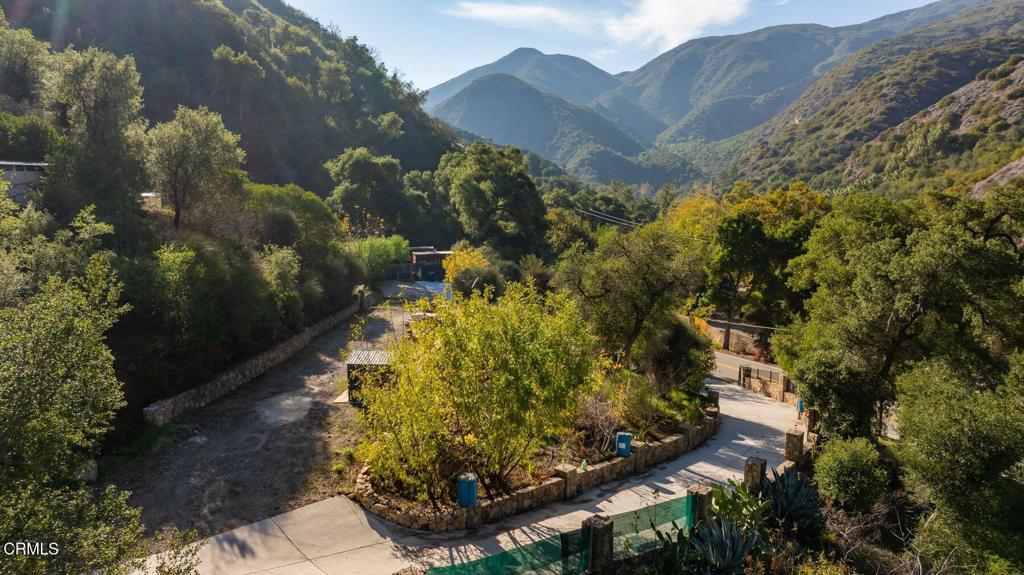 MLS #V1-33473 image #14