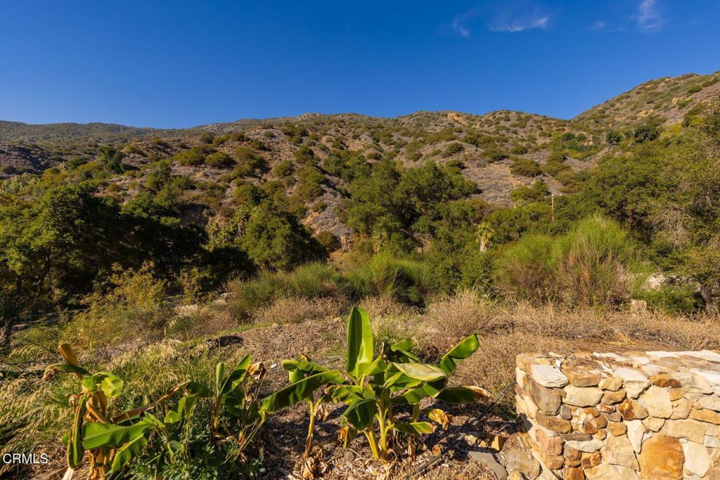 MLS #V1-33473 image #5