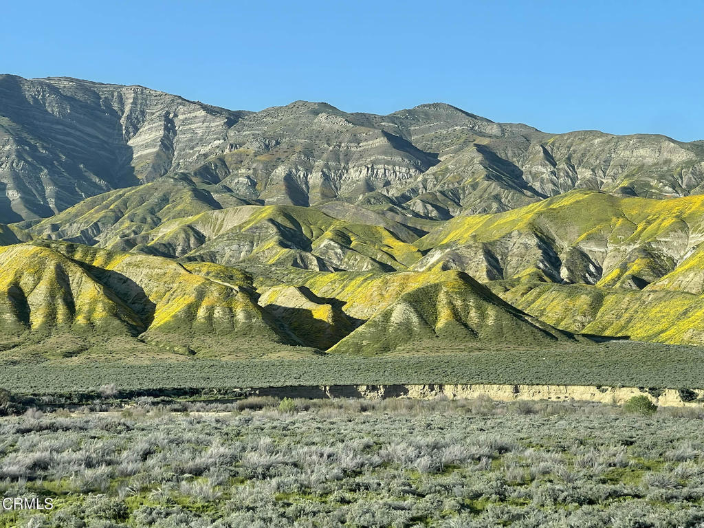 MLS #V1-33482 image #42