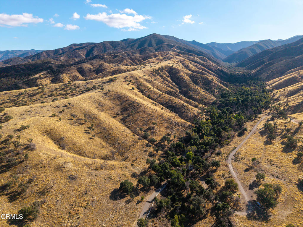 MLS #V1-33482 image #45