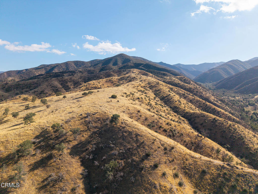 MLS #V1-33482 image #46