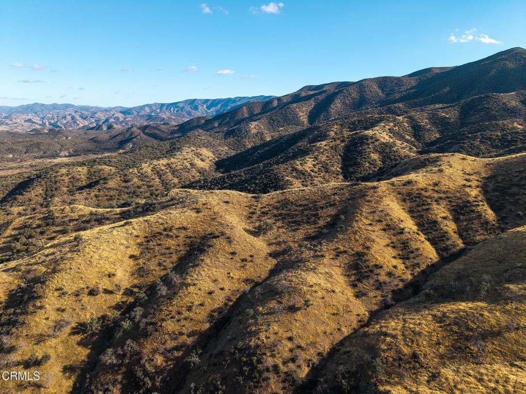 MLS #V1-33482 image #47