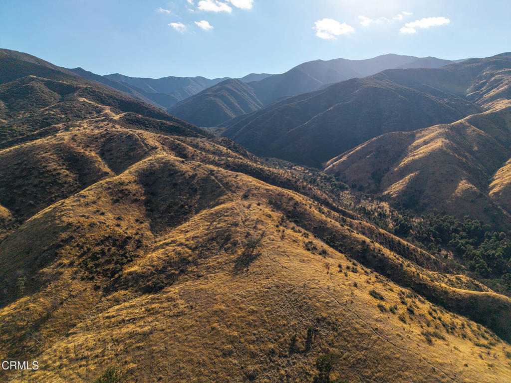 MLS #V1-33482 image #48