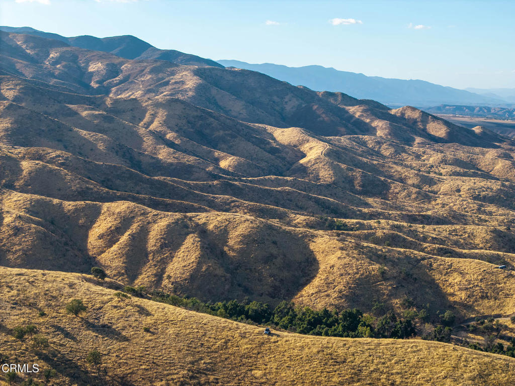 MLS #V1-33482 image #49