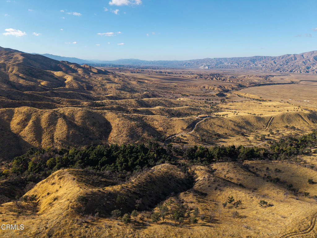 MLS #V1-33482 image #50