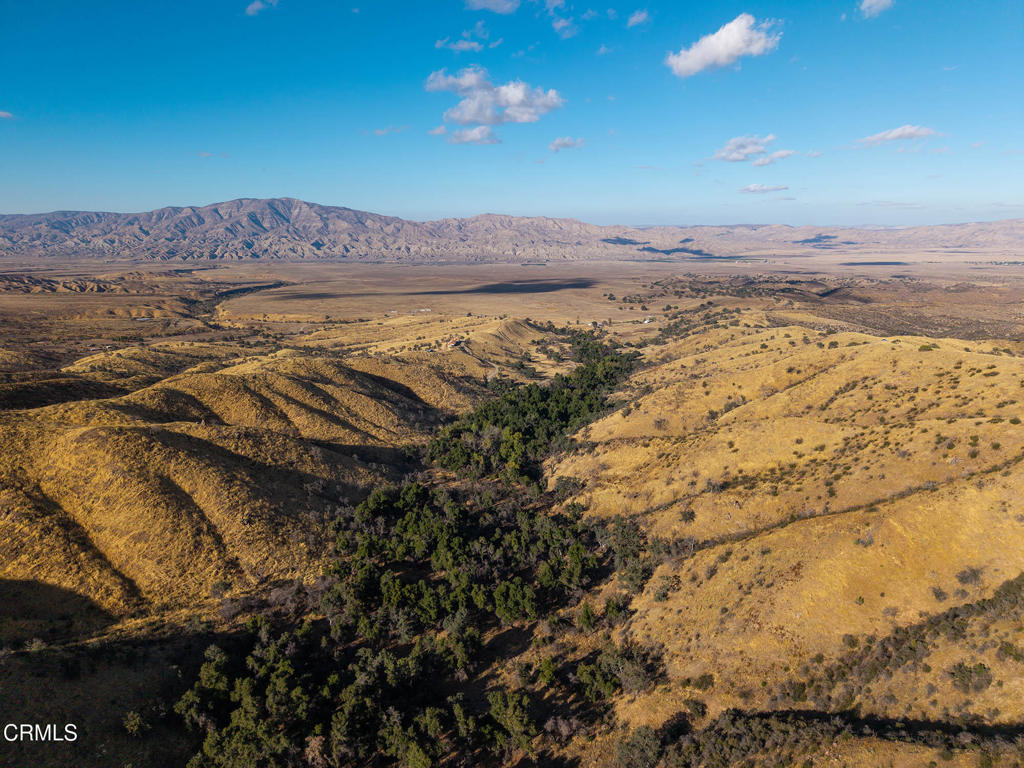 MLS #V1-33482 image #54