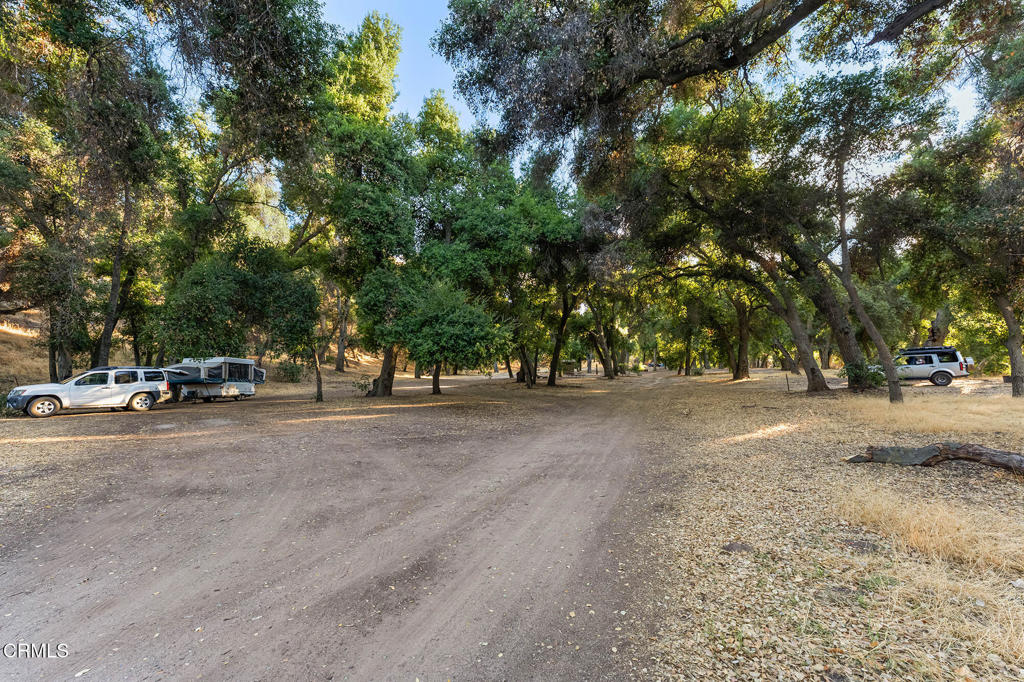 MLS #V1-33482 image #62