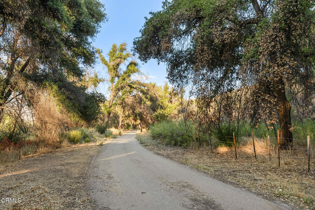 MLS #V1-33482 image #63