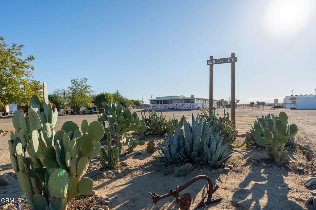 MLS #V1-33482 image #67