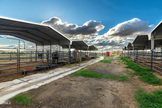 MLS #V1-33490 image #56