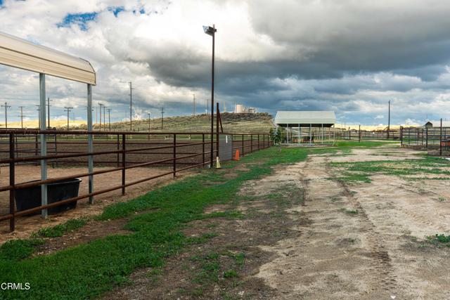 MLS #V1-33490 image #58