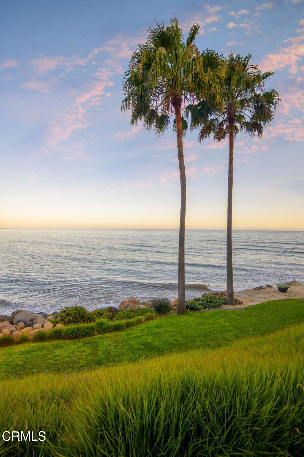 MLS #V1-33497 image #3