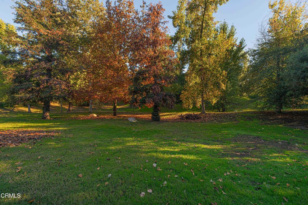 MLS #V1-33512 image #26