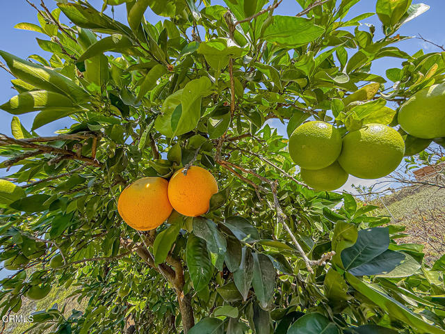 MLS #V1-33522 image #33