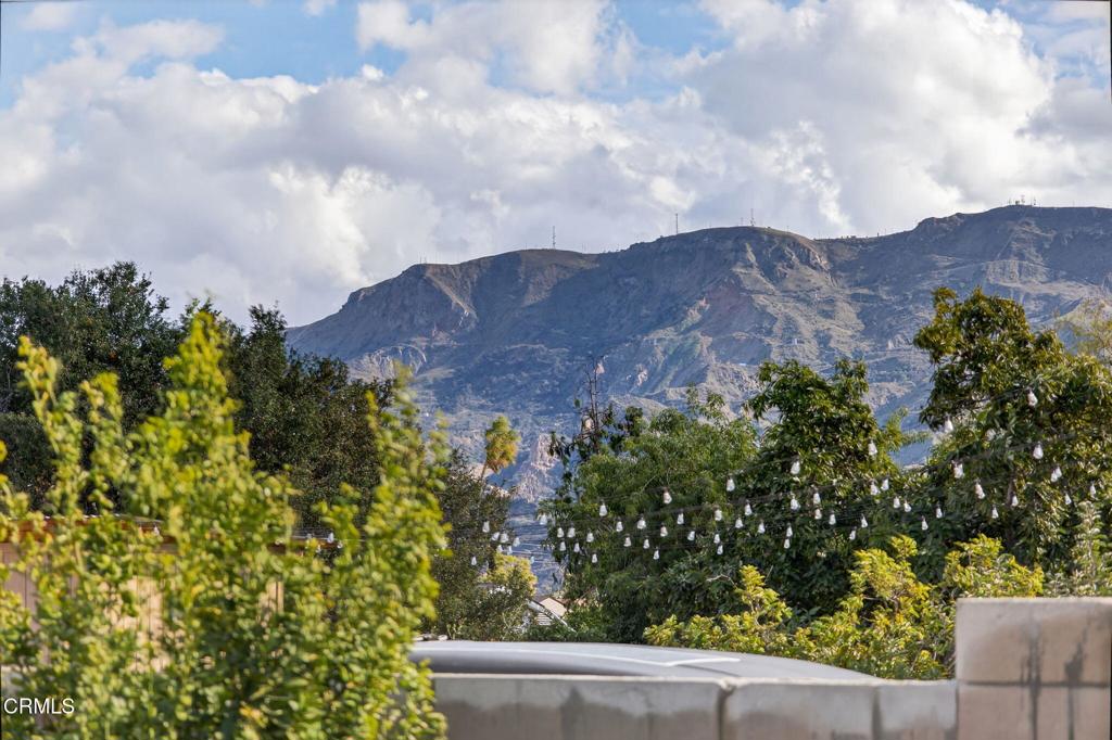 MLS #V1-33558 image #37