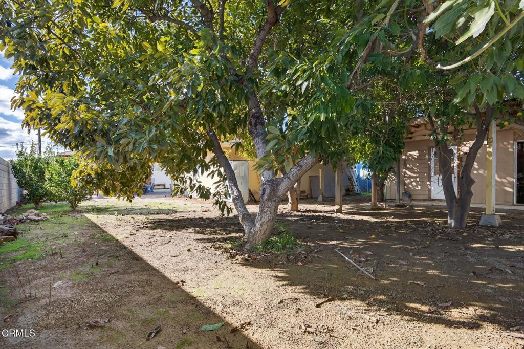 MLS #V1-33558 image #43