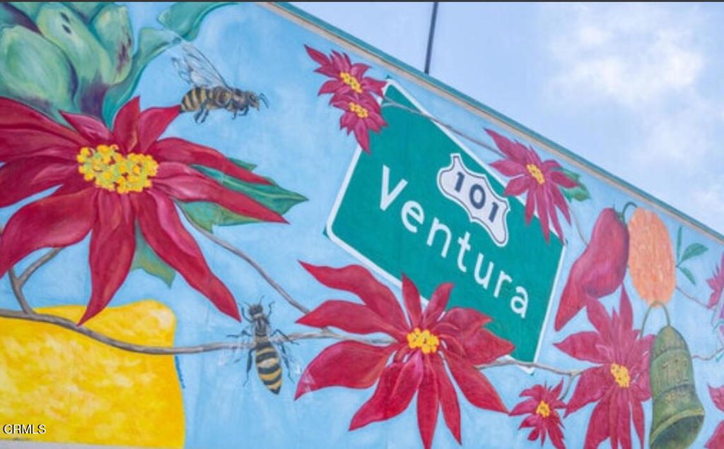 MLS #V1-33569 image #4