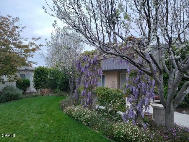 MLS #V1-33572 image #4