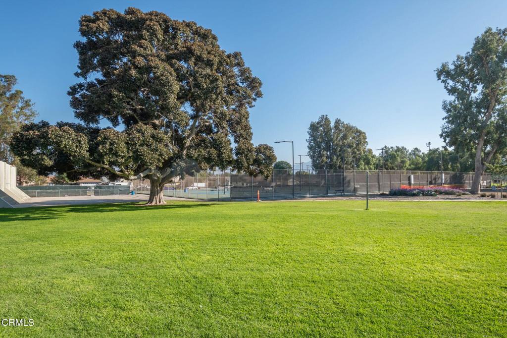 MLS #V1-33572 image #45