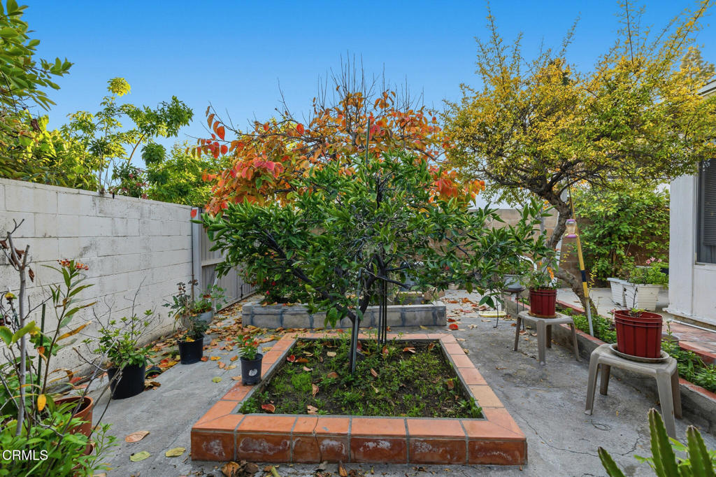 MLS #V1-33579 image #1