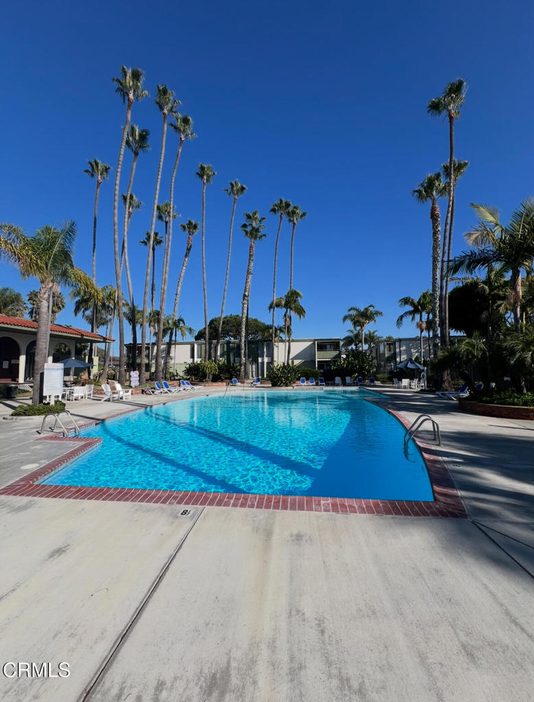 MLS #V1-33580 image #5