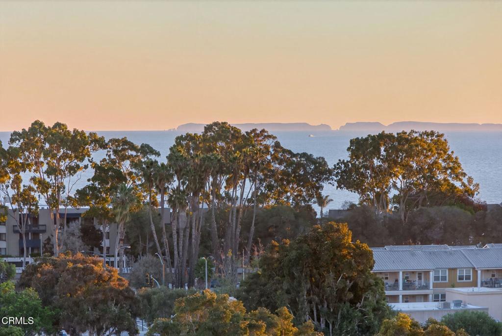 MLS #V1-33588 image #32