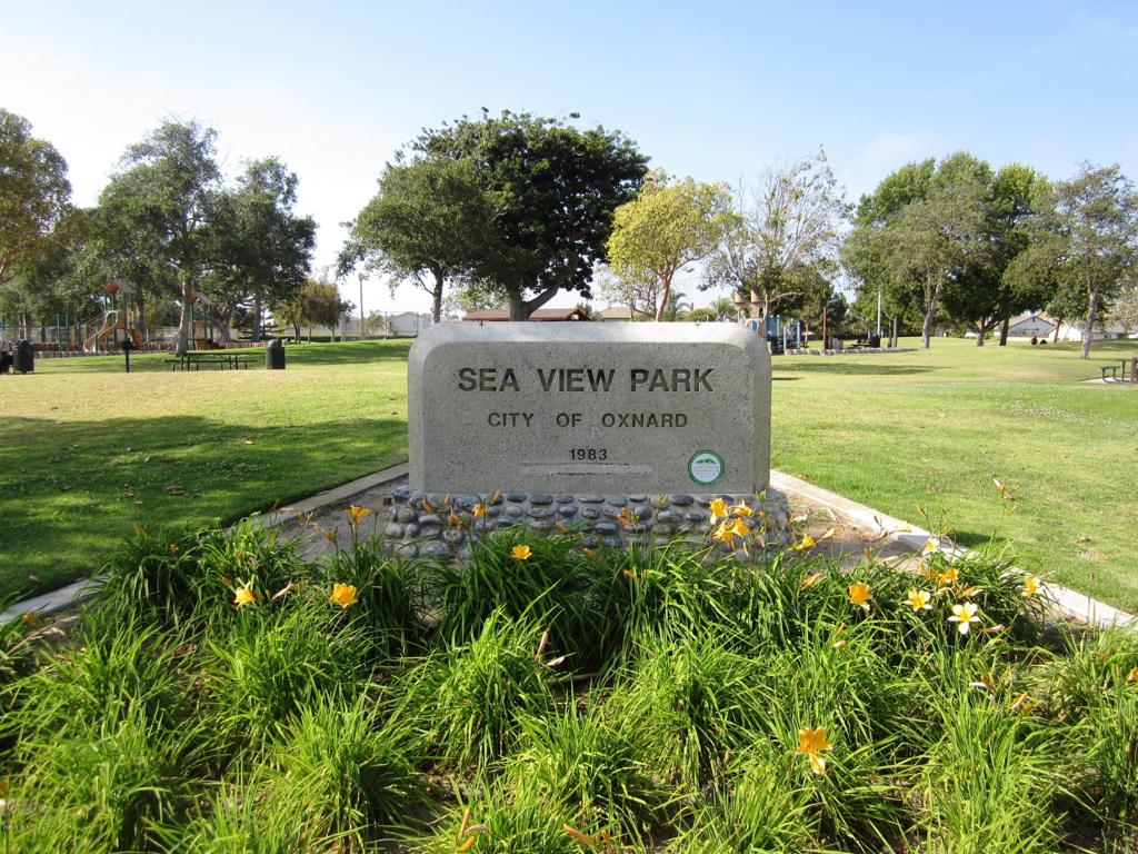 MLS #V1-33617 image #19