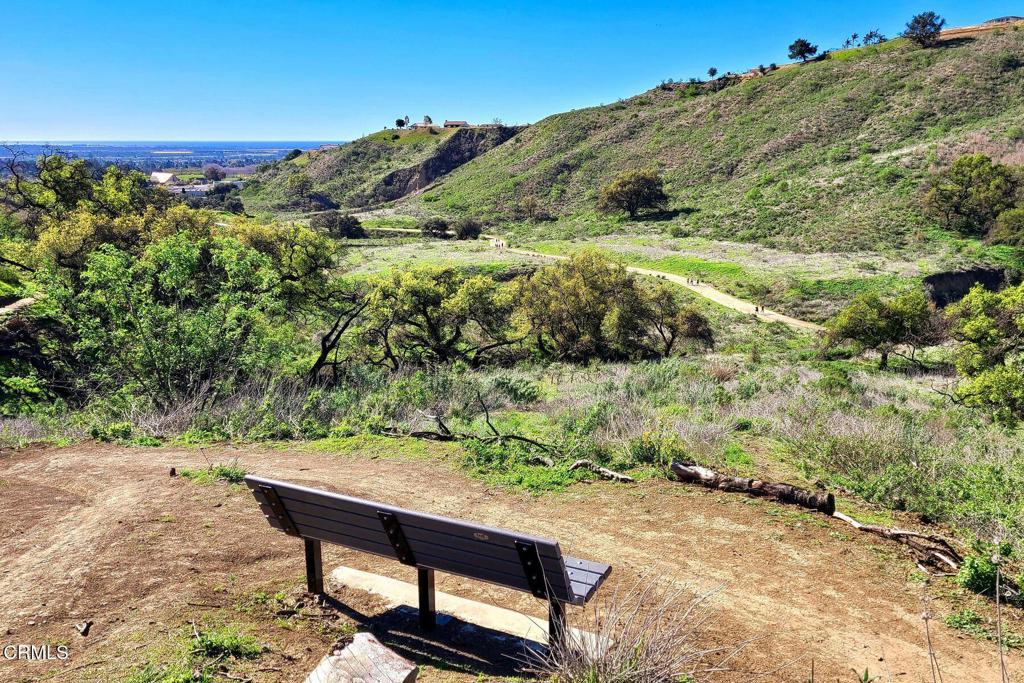 MLS #V1-33618 image #39