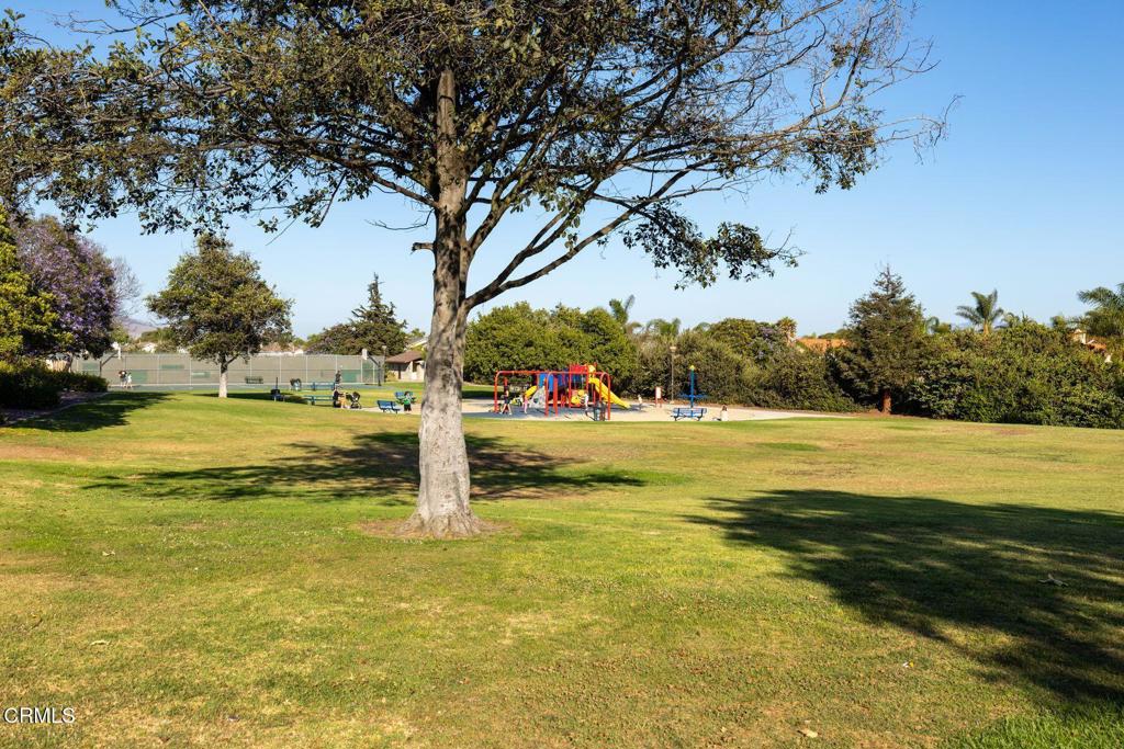 MLS #V1-33618 image #42