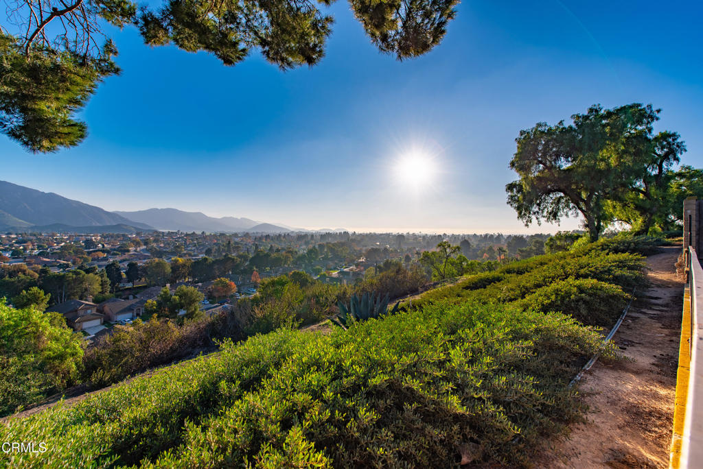 MLS #V1-33620 image #30