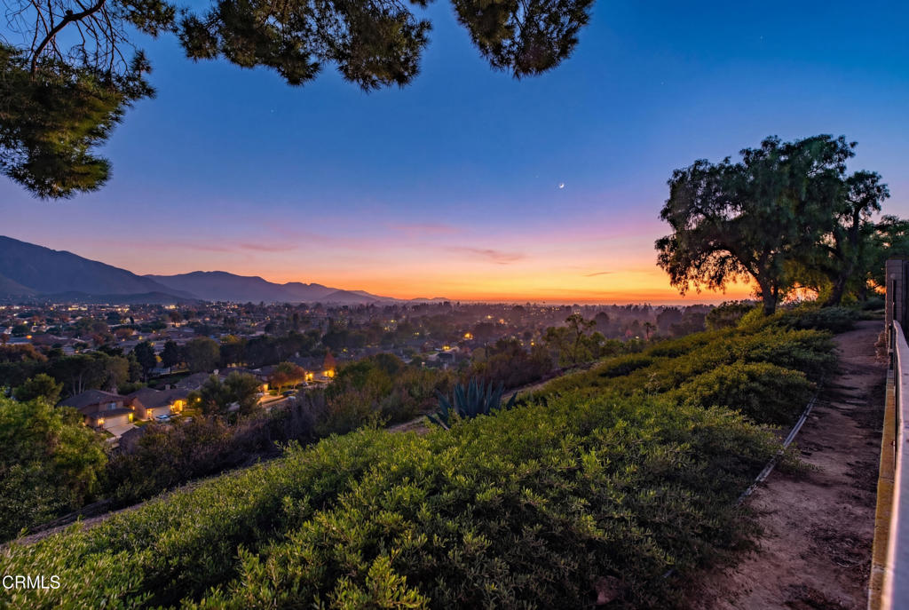 MLS #V1-33620 image #42