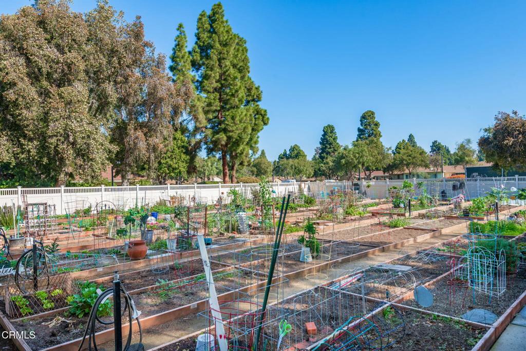 MLS #V1-33621 image #22