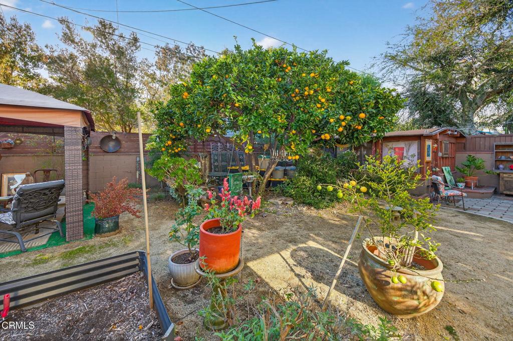 MLS #V1-33638 image #40