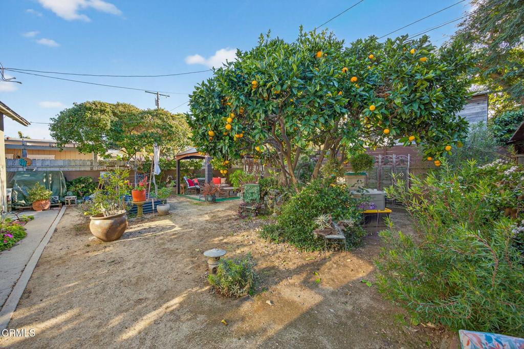 MLS #V1-33638 image #41