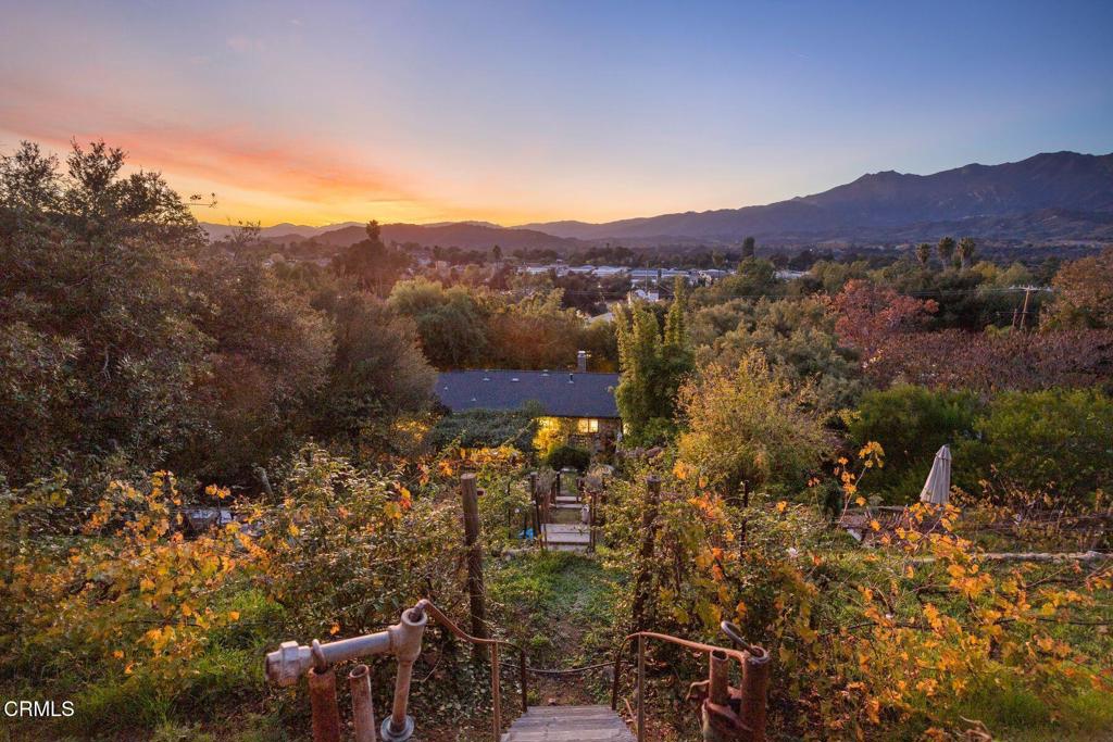 MLS #V1-33648 image #23