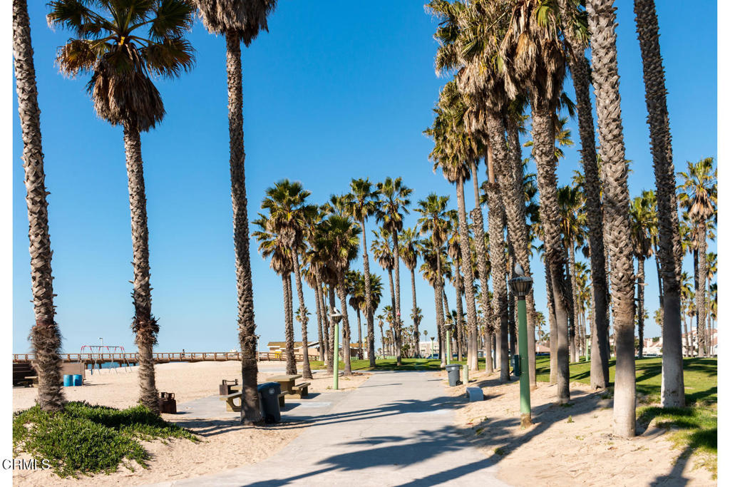 MLS #V1-33661 image #63