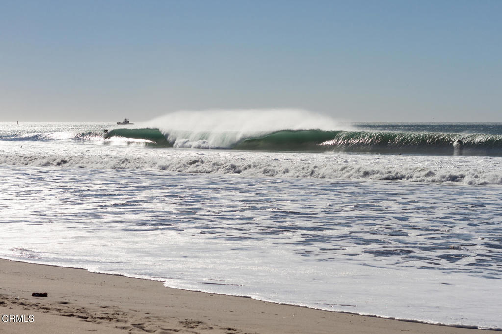 MLS #V1-33661 image #65