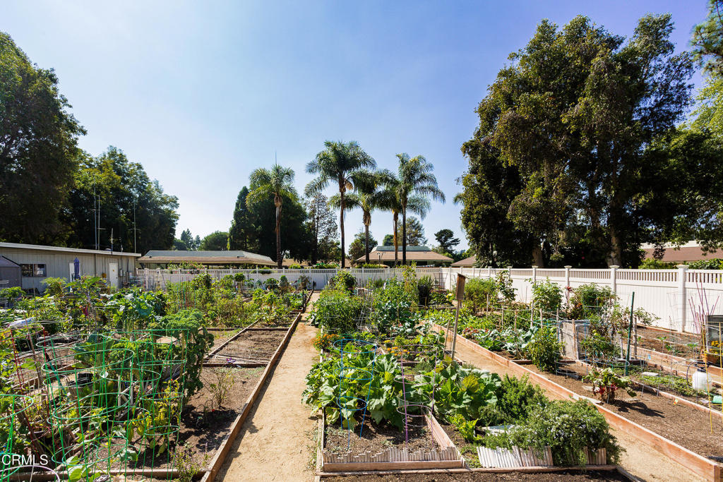 MLS #V1-33662 image #30