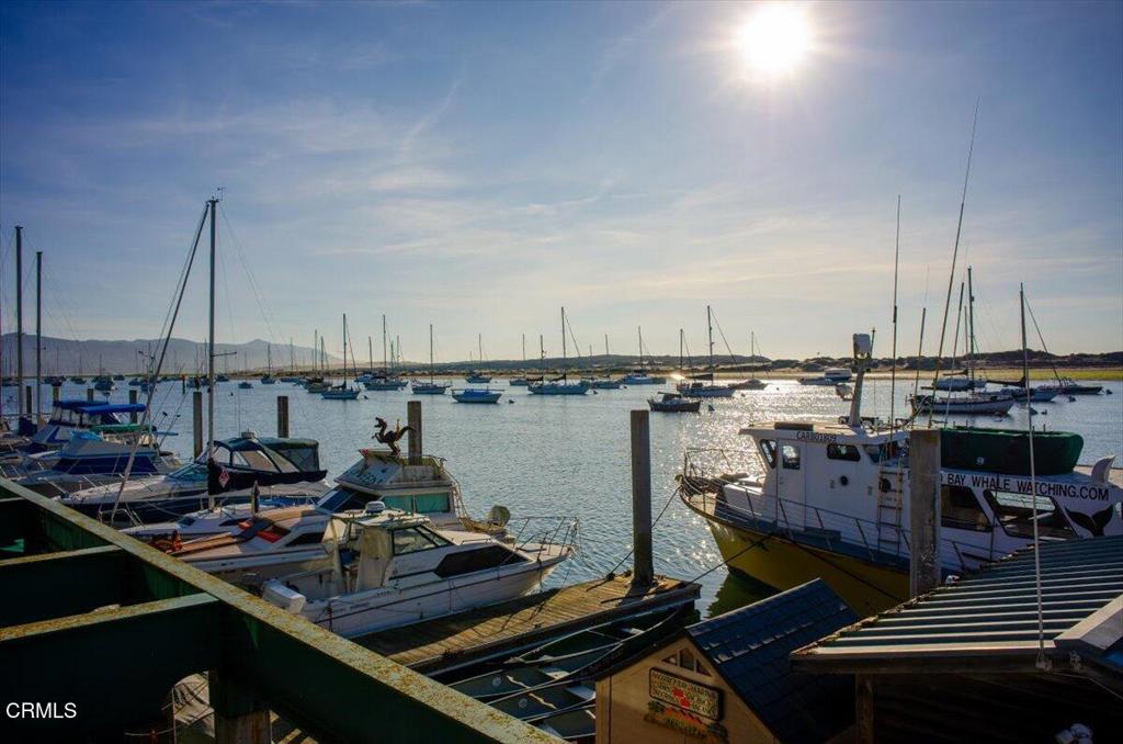 MLS #V1-33664 image #45