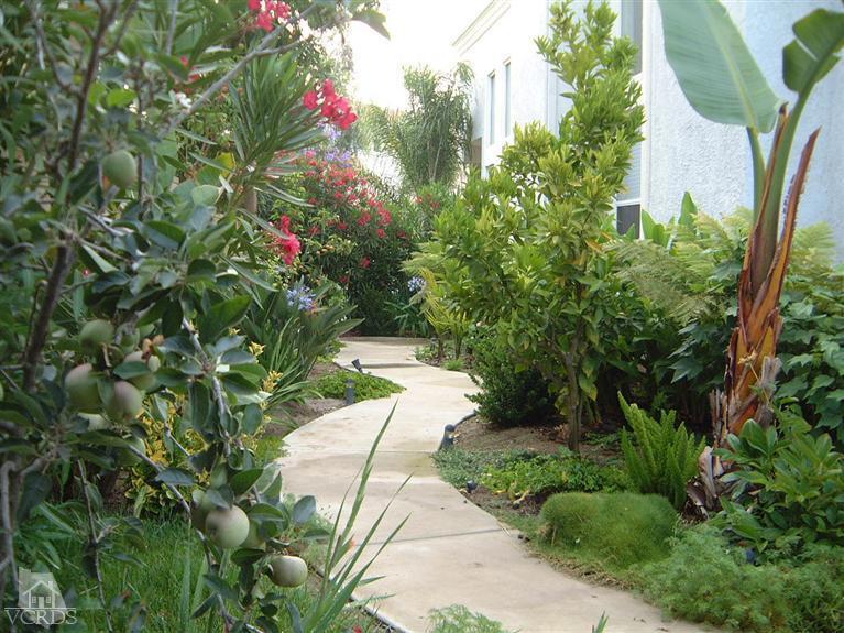 MLS #V1-33677 image #16