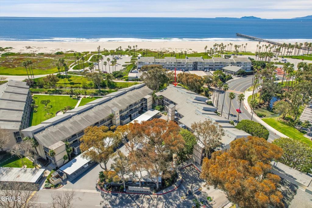 MLS #V1-33706 image #49