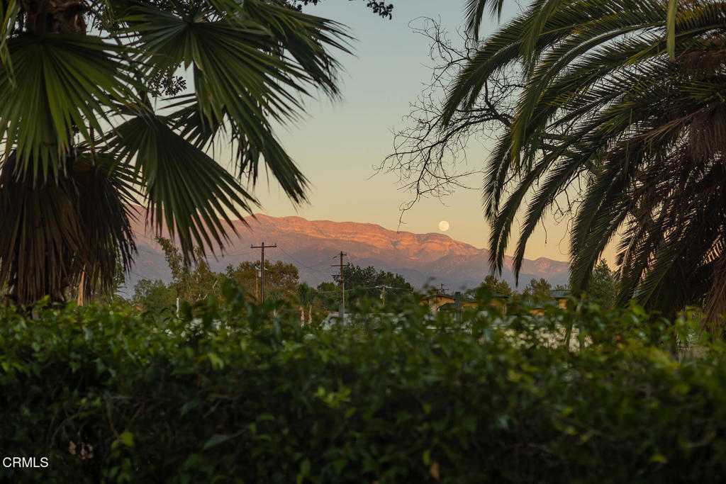 MLS #V1-33708 image #3