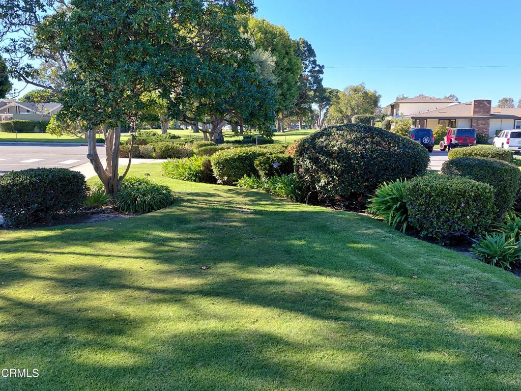 MLS #V1-33722 image #4