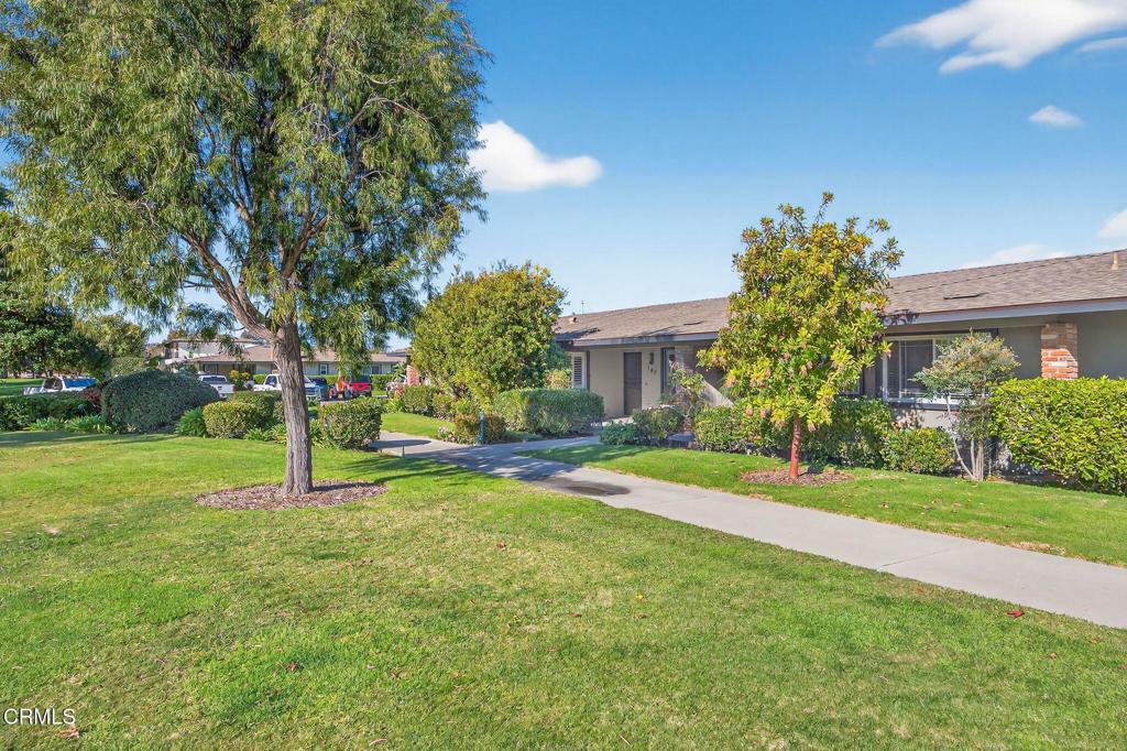 MLS #V1-33722 image #5