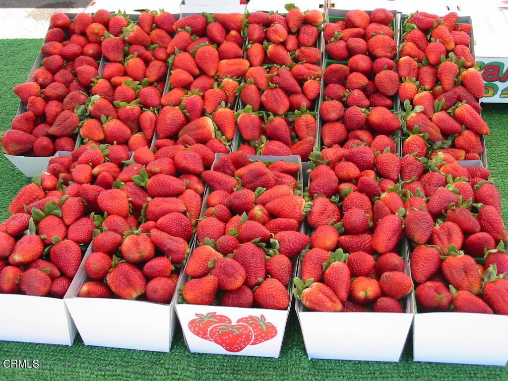 MLS #V1-33722 image #67