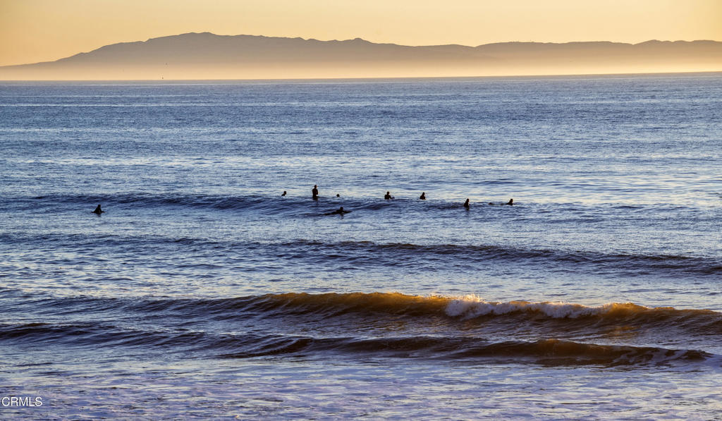 MLS #V1-33727 image #16