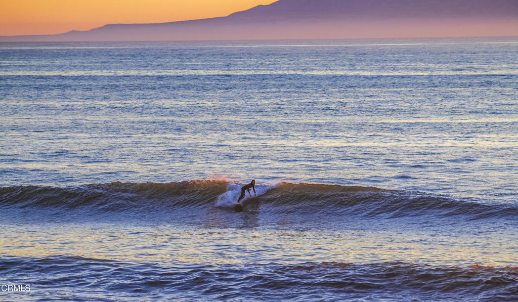 MLS #V1-33727 image #23