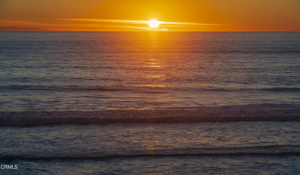 MLS #V1-33727 image #28