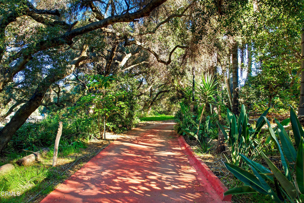 MLS #V1-33736 image #11